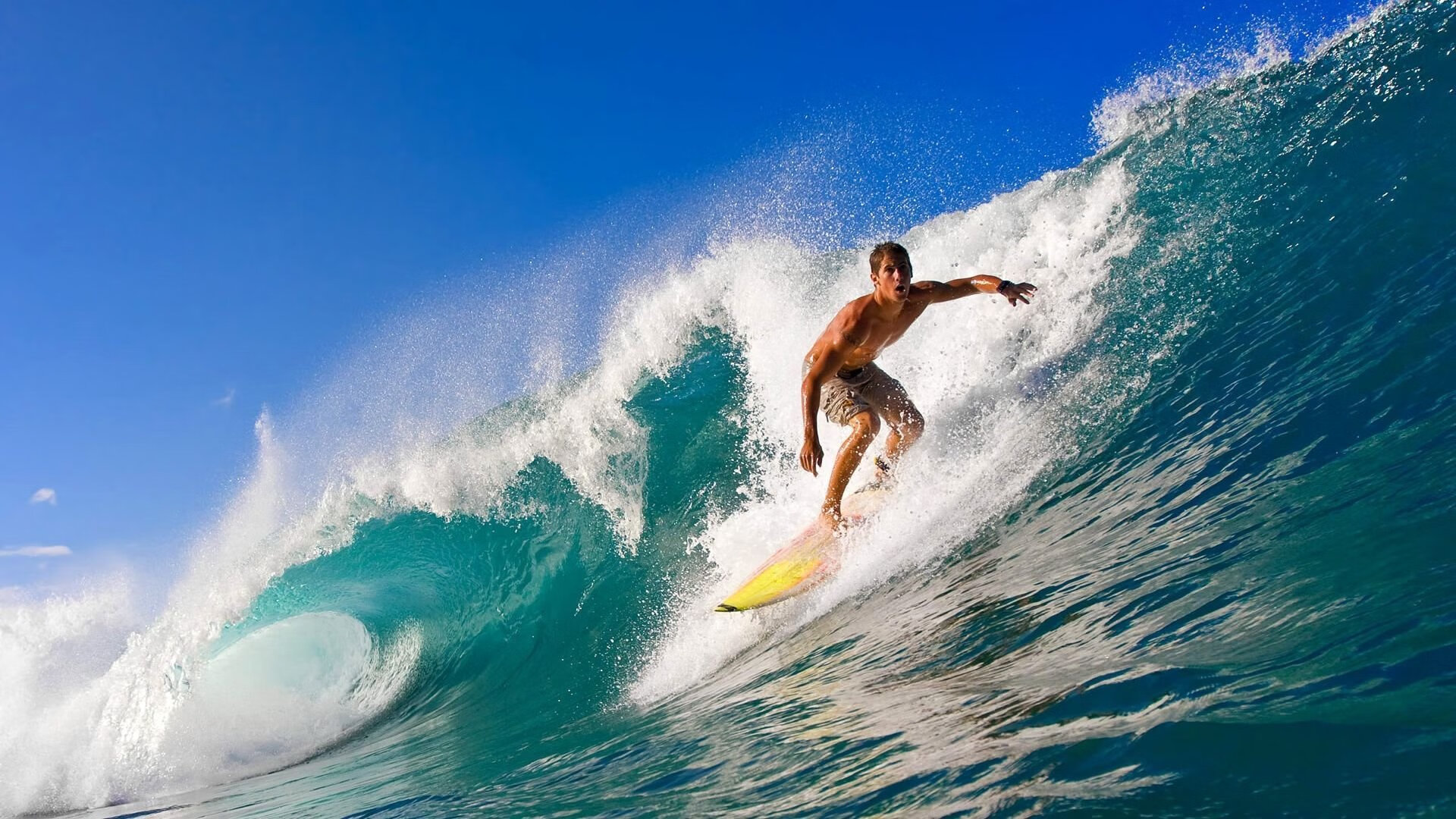 WRC赛道巡礼：探索全球最具挑战的拉力赛道，wrc拉力赛车所有车型 2019