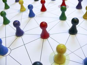 九游娱乐网站-中国篮球教练员专业能力提升路径，篮球教练员的专业技能包括哪些方面